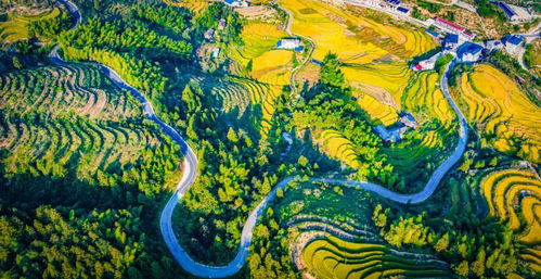 浙江农村游玩的那些破事，看完笑到肚子疼