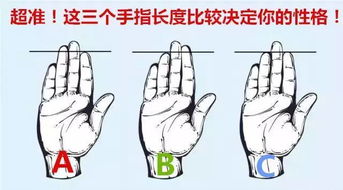 7、无名指——赌博的诱惑？还是家庭的港湾？