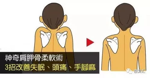 肩酸痛与阳宅风水,肩膀疼是动了哪里的风水