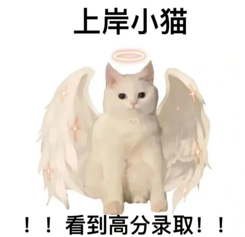 第四次梦——兔子耳朵里的风水镜子