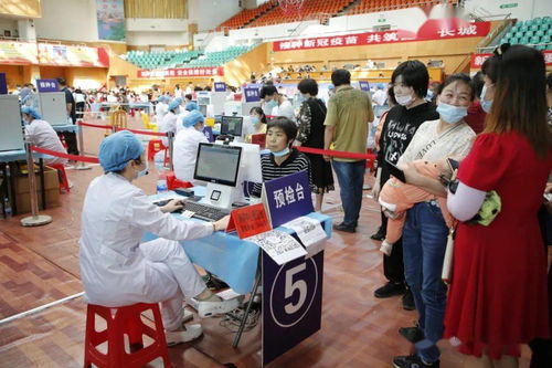 沈阳：一个充满故事的城区