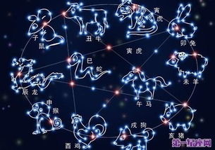 守护星是个啥玩意儿？能吃吗？