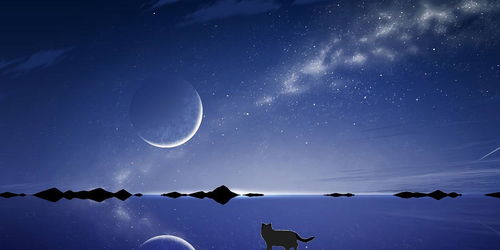 12星座失恋后の迷惑行为大赏