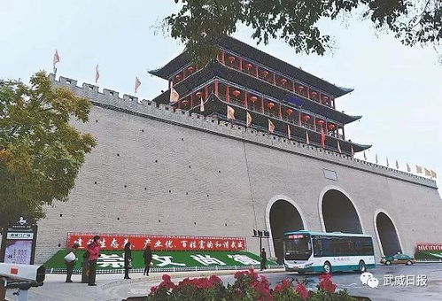 甘肃武威：千年古韵，现代风情，历史与现代交融爆款地