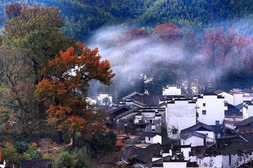 思溪延村！商业气息熏死人！