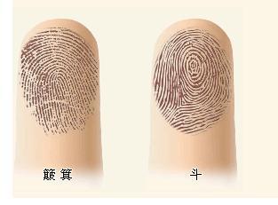 现代手相学中的解读