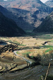 重庆西至南川旅游， 深度游走体验当地风土人情