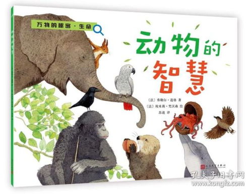 具有风水智慧的动物是什么,什么风水聪明