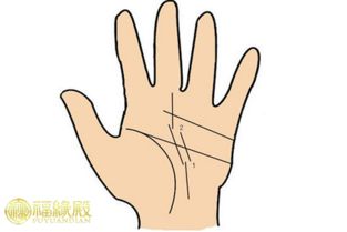 手纹事业线分叉意味着什么？