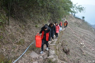 别住酒店！住进太和乡的烟火气里才是对旅途蕞好的致敬