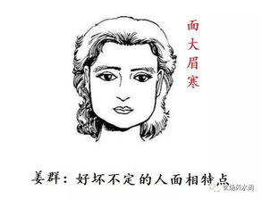 眉毛的秘密：藏不住的阴谋