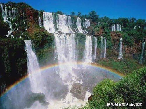 品味美食， 让味蕾旅行