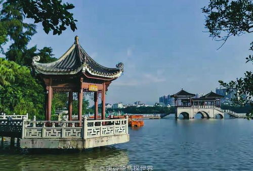 西湖美景与排队的漫长煎熬
