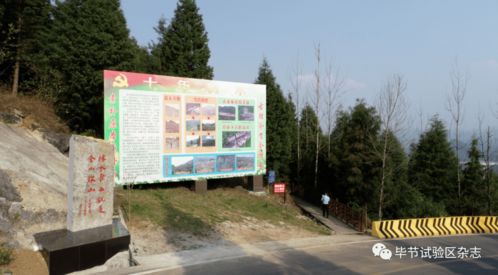 颜色搭配：红配绿赛狗屁