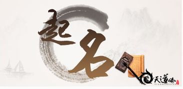 起名这事儿可马虎不得