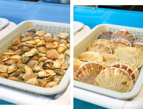 关于可靠与选择正宗餐厅