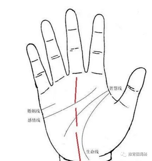 二、 不同类型的事业线与职业发展