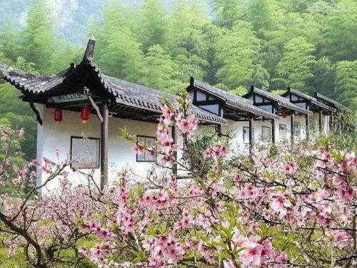 一、桃花源生态乱套区（免费）