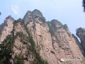 吃住行攻略：如何安排完美旅程？
