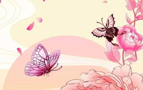 苏姓属鸡女宝宝取名，有哪些名字适合开公司？