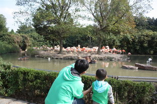 ：孩子的旅行，  不一样的世界