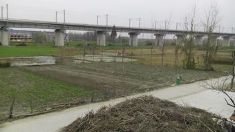 池塘填平盖楼房好吗,池塘填平盖楼房好吗