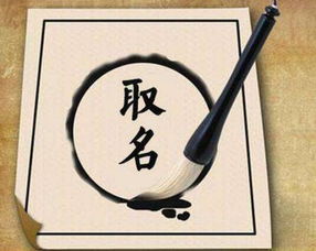 Q2:更多胞胎起名技巧？