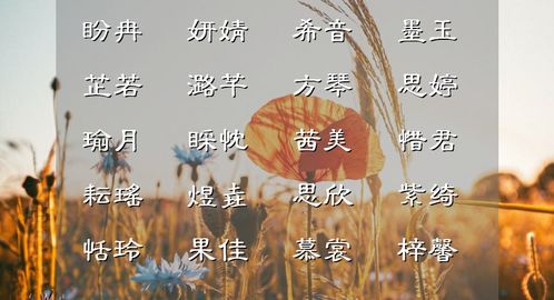 1-1. 沐字的原始含义——从洗头发到精神层面净化