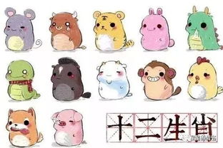 快和井分别代表哪个生肖？这是什么生肖的象征？