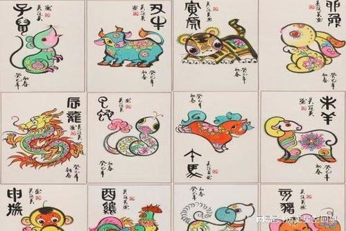 少年容易老指的是哪个生肖，这个生肖的人为何会少年老成？