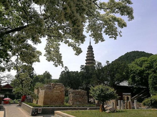迷雾缭绕的山路， 是通往心灵的阶梯