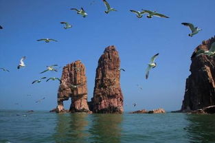 3. 自驾游