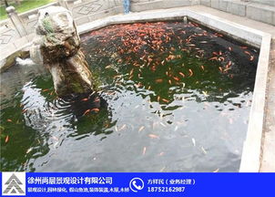 四、摆放位置：玄学与现实的碰撞