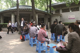 游客满意度高的秘密：个性化服务