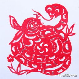 狗年风水是否适合蛇年运用？