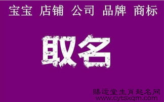 三、 实战案例解析