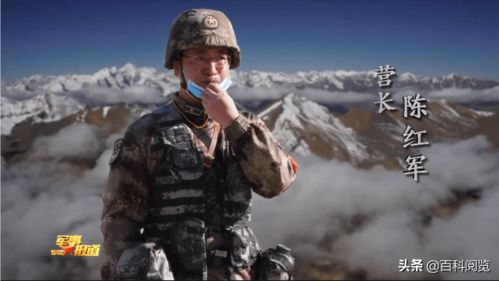 为家人牺牲生命的人，能否算英雄？他们这样做值得吗？