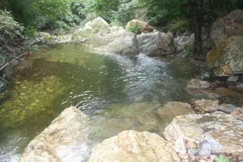 五一特惠 , 兴隆天子山 + 玻璃栈道 一日游，不容错过！