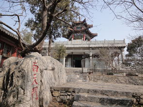 云龙山索滑道：体验速度与激情