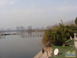 泰达水榭花都雨中美景：湿漉漉的诗意