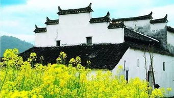 春光无限，美景如画
