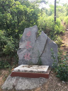 蟒山国家森林公园：爬山堪风景