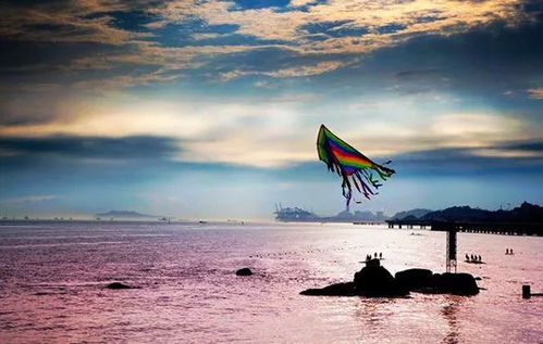 赶海体验