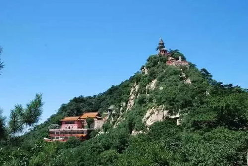 门票市场价格：一览无遗