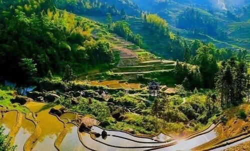 五一特惠， 亲子同行