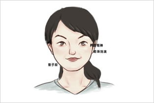 眉毛飞到太阳穴？2026年注定要当女强人！