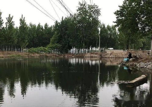 锦江南岸——废弃码头的崭新生