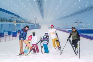 冰雪王国里的交通噩梦