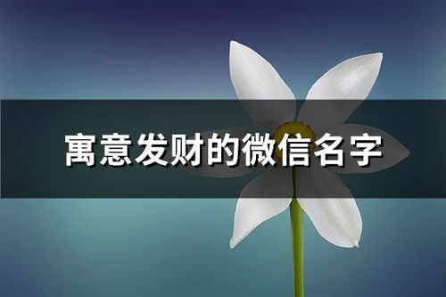 一、  微信昵称：情感的寄托