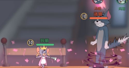 夜幕降临：星座与风水的交织